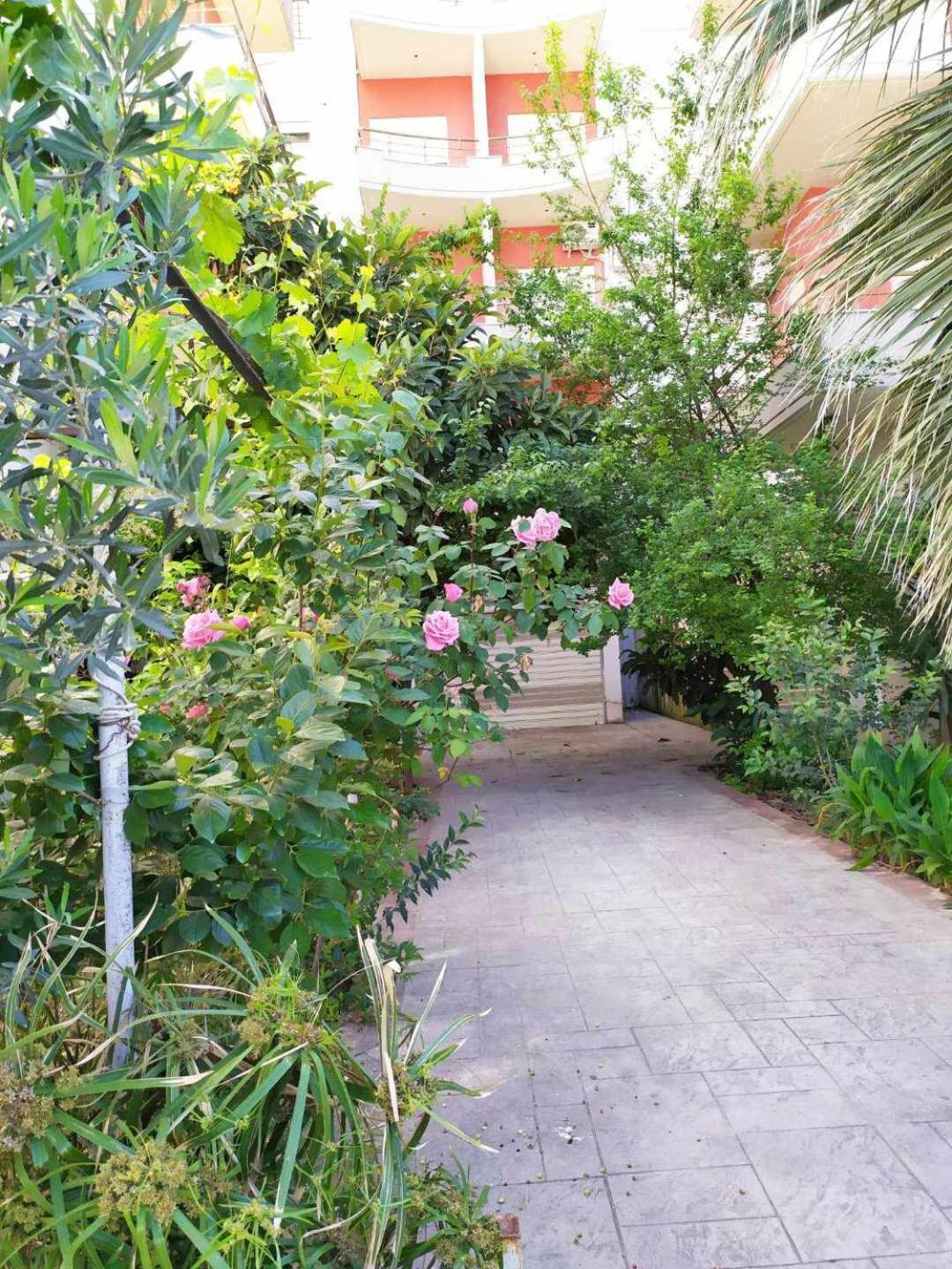 Valbona Apartments Vlorë 외부 사진